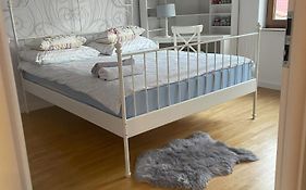 Ełk Blue Apartment